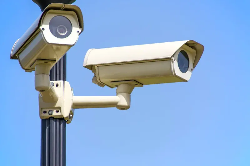 video criminals