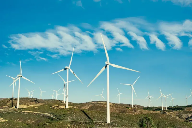 Green economy