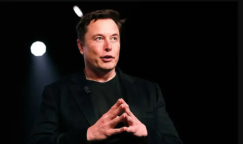 Musk education