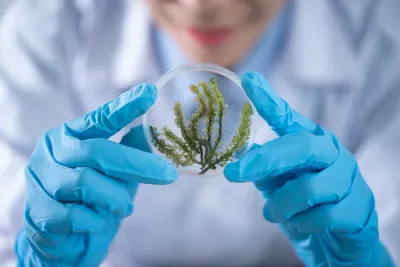 Kyrgyzstan science