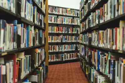 День книги, статистика посещений, литература