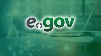 eGov, Правительство для граждан, цифровое правительство