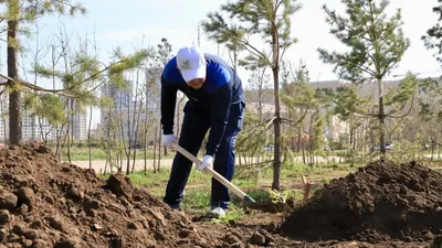 субботник, Таза Казахстан, уборка, очистка