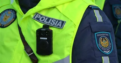 правоохранительные органы, охрана порядка, МВД 