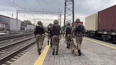 экстрадиция, военные, конвой
