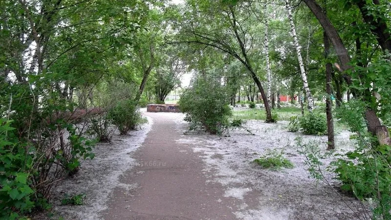 Тополиный пух, пожар, безопасность
