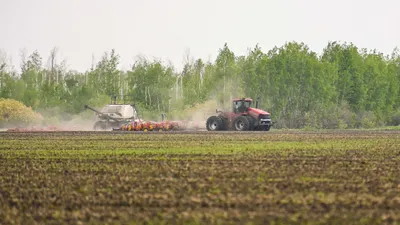 Посев, полевые работы, поле, поля, сельское хозяйство, сельхозтехника, сельскохозяйственная техника, трактор, тракторы