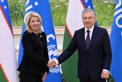 международная организация, сотрудничество