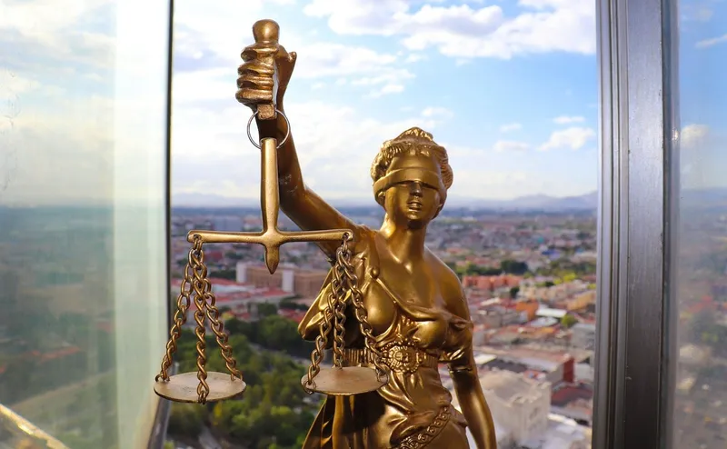 правосудие, юриспруденция, адвокатура