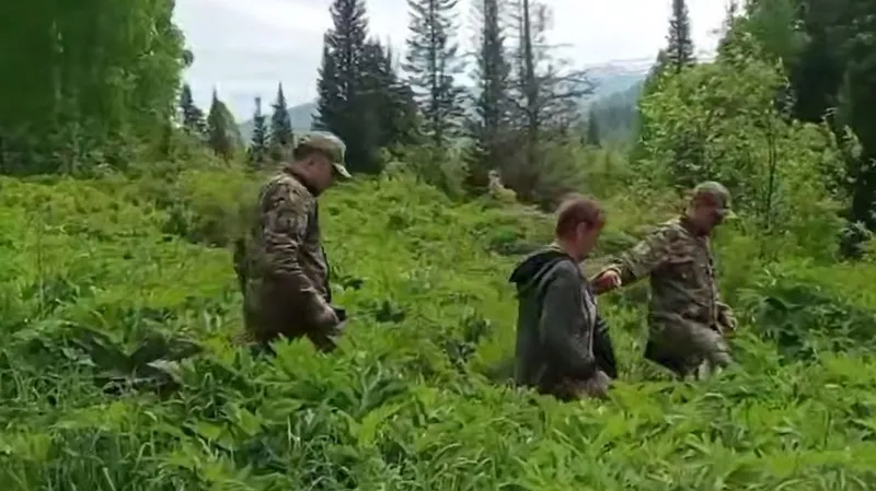 женщина, лес, спасатели, МЧС