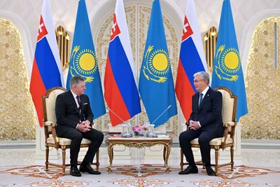 Токаев и Фицо
