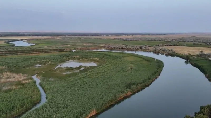 река, вода, озеро, речка