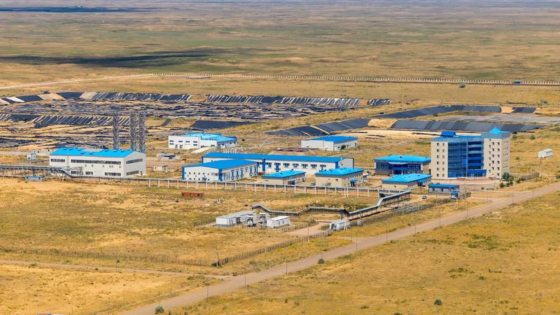 СЭЗ, специальная экономическая зона, свободная экономическая зона, производство, завод, заводы