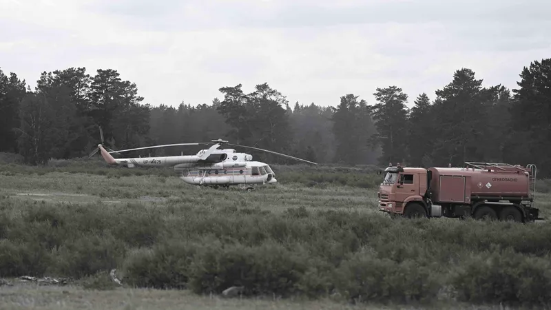 Лесной пожар, лесные пожары, пожар в лесу, горящий лес, природный пожар, возгорание в лесу, пожарный, пожарные, пожарная служба