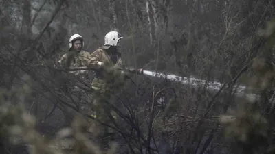 Лесной пожар, лесные пожары, пожар в лесу, горящий лес, природный пожар, возгорание в лесу, пожарный, пожарные, пожарная служба