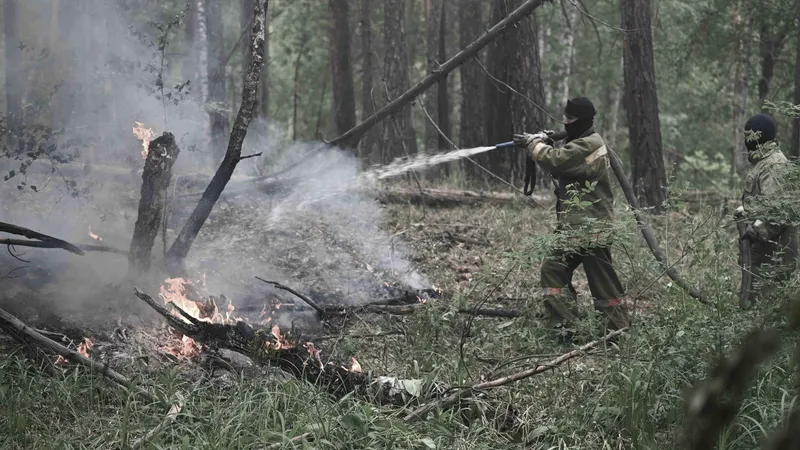 Лесной пожар, лесные пожары, пожар в лесу, горящий лес, природный пожар, возгорание в лесу, пожарный, пожарные, пожарная служба