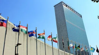 международная организация, сотрудничество