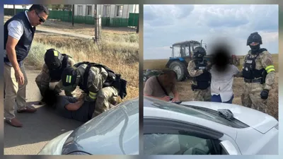 Задержание скотокрадов