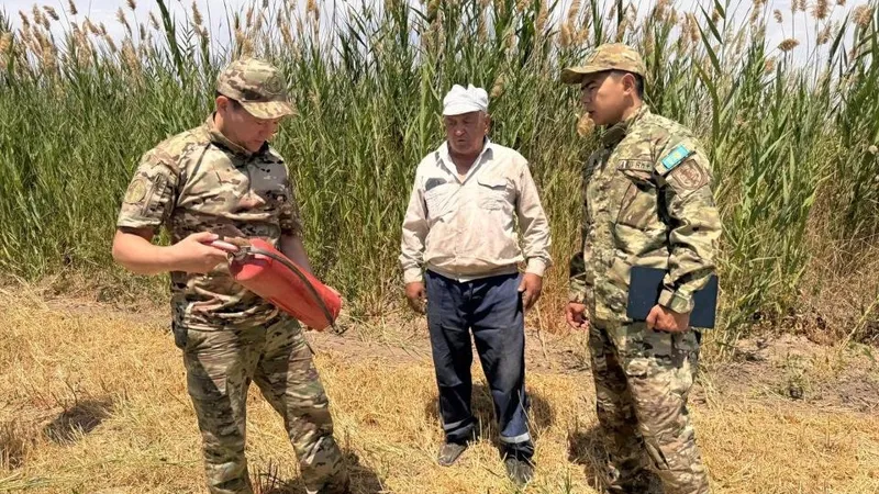 МЧС, спасатели, пожарные, пожар, лето, жара