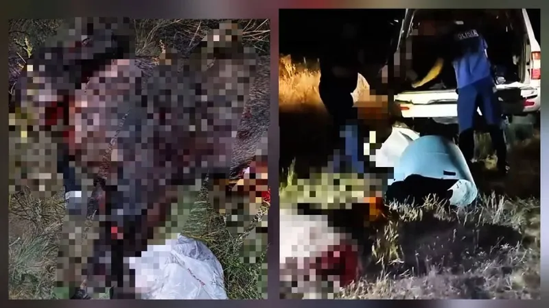браконьеры, кабан, охота, полиция