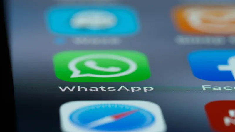 Социальные сети, ватсап, WhatsApp, социальная сеть, приложение, приложения, телефон, мобильный интернет, соцсеть, соцсети