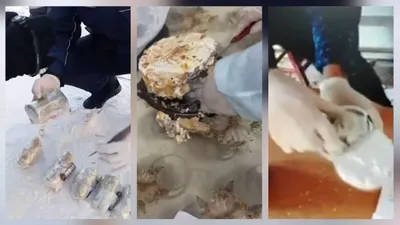 пронос, запрещенные предметы, колонии, КУИС, полиция