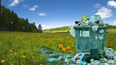 защита природы, экология