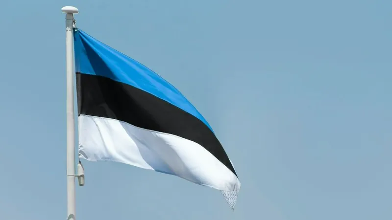 государственный флаг