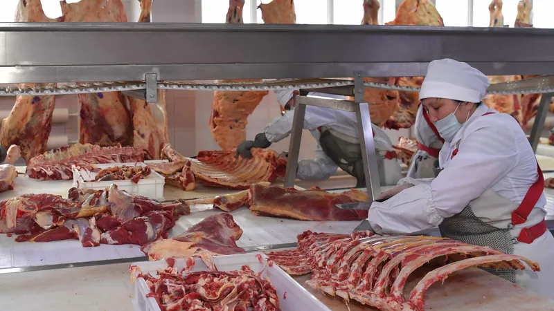 Мясной цех, мясо, разделка мяса, цены на мясо, мясная продукция, стоимость мяса, мясной отдел