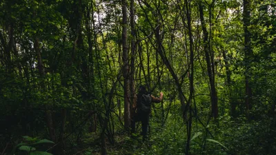 Егерь, человек в лесу