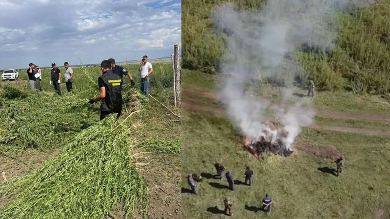 Полиция ВКО