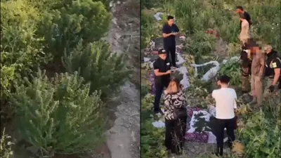 Наркоплантация, Шымкент, полиция
