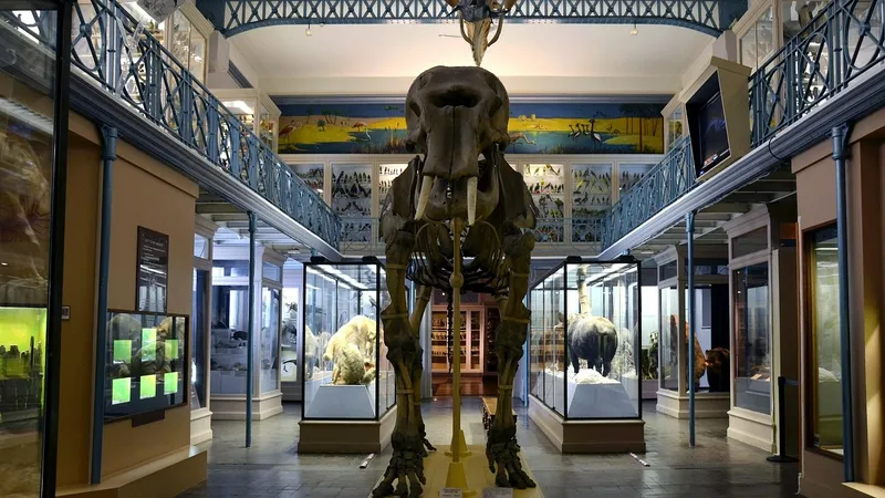 Франция, исторические экспонаты