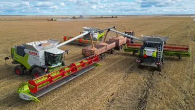 Зерно, пшеница, посев, сельское хозяйство, сельхозтехника, комбайнеры, сельскохозяйственная техника, сбор зерна, урожай