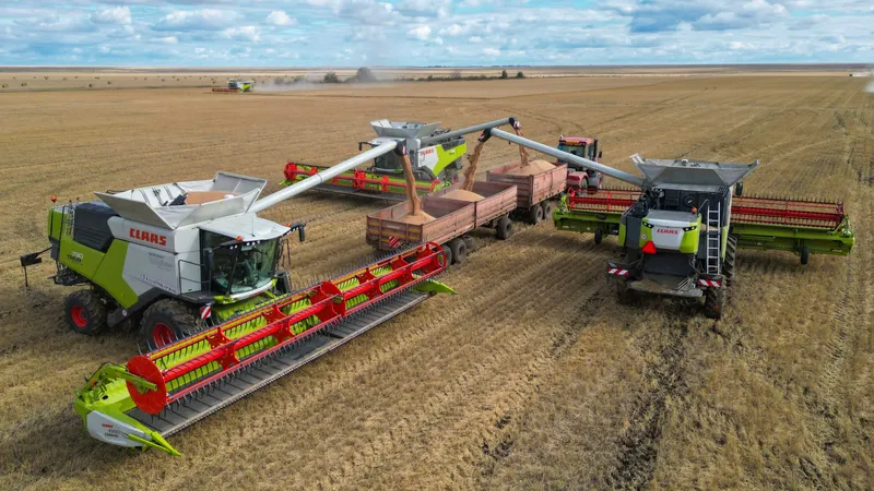 Зерно, пшеница, посев, сельское хозяйство, сельхозтехника, комбайнеры, сельскохозяйственная техника, сбор зерна, урожай