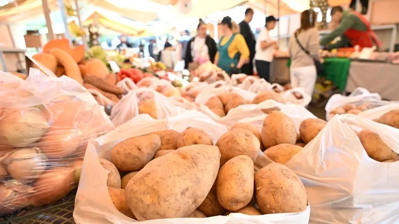 Ярмарка, базар, рынок, торговля, продукты питания, овощи, овощной отдел