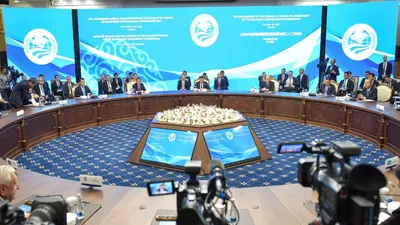 международная организация, сотрудничество