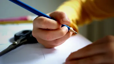 дополнительное образование, кружок
