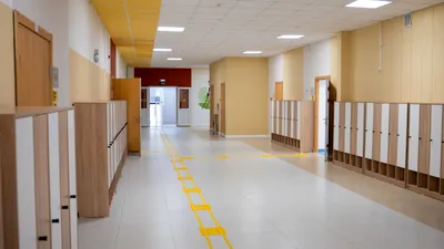 Школа, школы