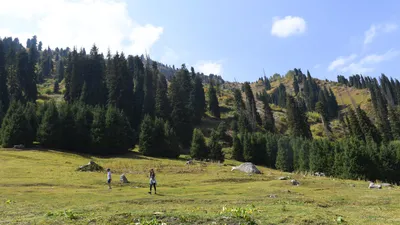 Горы, гора, горная местность, горный туризм, туристы в горах