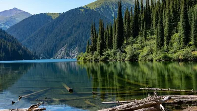 озеро Кольсай, Павел Дуров, купание, запреты