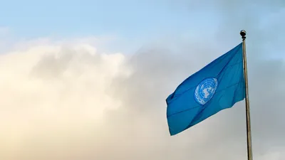 флаг, организация