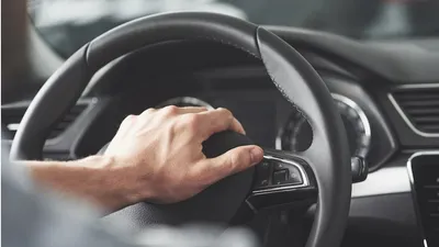 автотранспорт, водитель