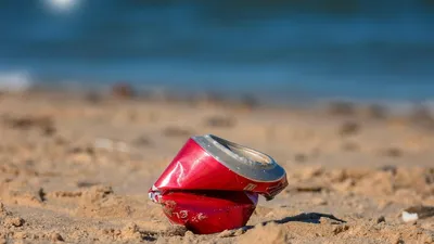 экологические правонарушения