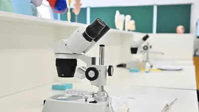 Школа, школы, школьный кабинет, школьные кабинеты, класс, классы, школьные занятия, уроки 