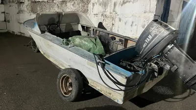 браконьер, рыба, улов, лодка, полиция