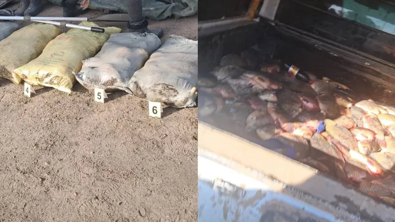 рыба, браконьерство