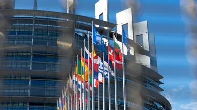 Европейский союз, государственные службы