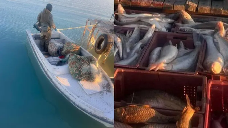 браконьеры, рыба, Балхаш