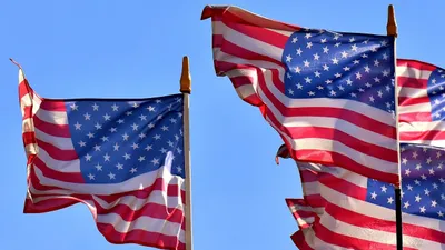 государственный флаг